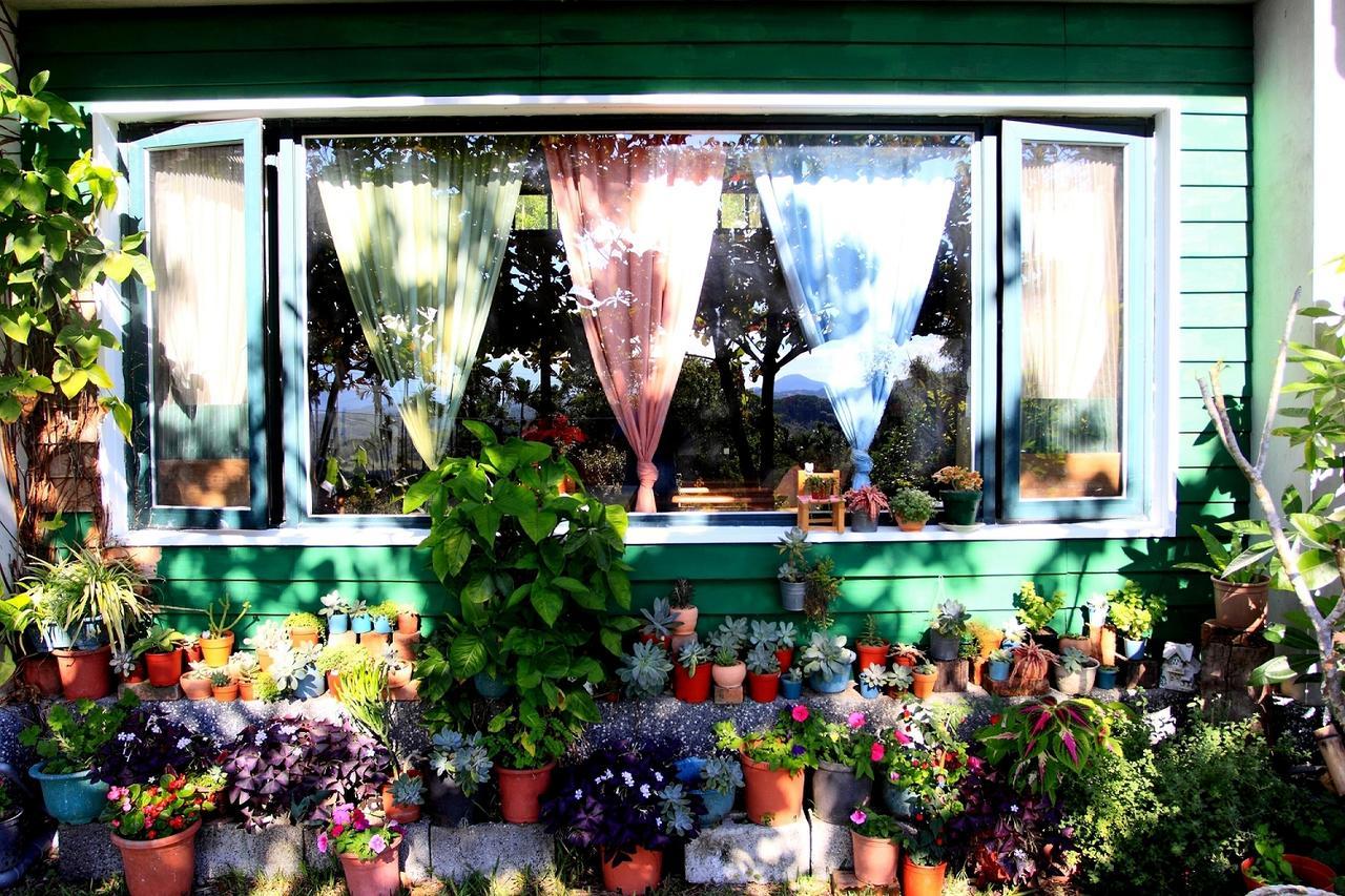 Lowkey B&B Fuli Exteriör bild